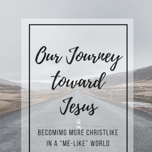 Our Journey Toward Jesus | 7 Week reading plan or indepth Bible study